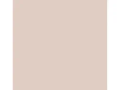 Alpina Feine Farben Lack No. 42 Palast der Ewigkeit® Graurosa edelmatt 750 ml