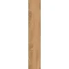 Bodenfliese Feinsteinzeug 20 cm x 120 cm