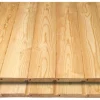 Kombiprofil Douglasie Nut und Feder 19 mm x 116 mm x 3000 mm