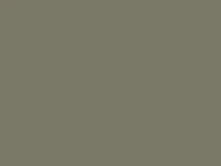 PCI Carraferm Silikon-Dichtstoff Sandgrau 310 ml