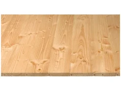 Rauspund Douglasie Nut und Feder 21 mm x 116 mm x 3000 mm