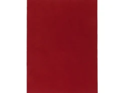 Snapstyle Kunstrasen Rasenteppich mit Noppen Kingston Rot 200x500cm