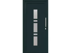 vidaXL Haustür Anthrazit PVC 3385781
