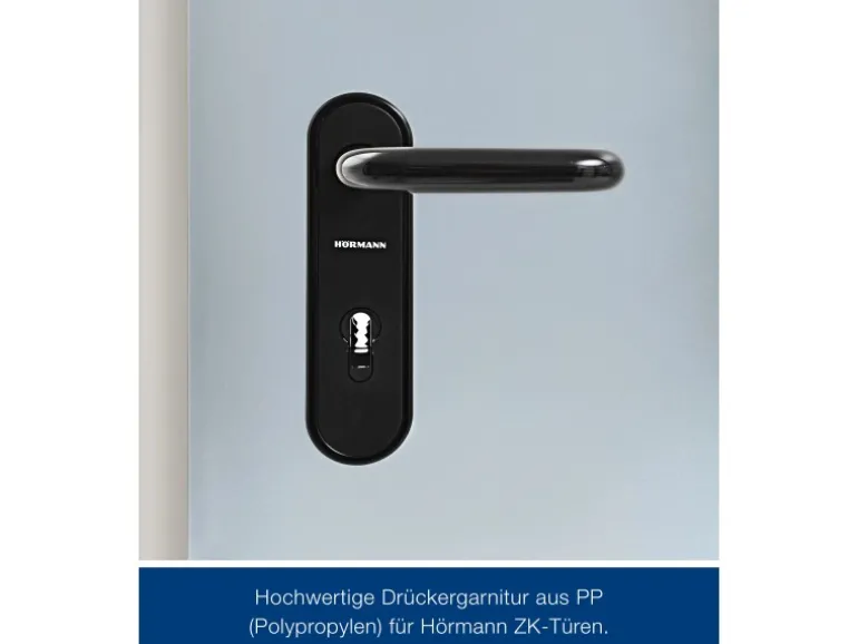 ZK-Tür-Element eingehängt Verzinkt 750 mm x 2000 mm x 80 mm DIN Rechts